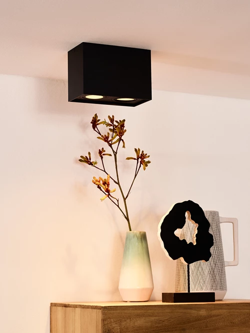 Lucide TUBE - Deckenstrahler - 2xGU10 - Schwarz - Atmosphäre 1